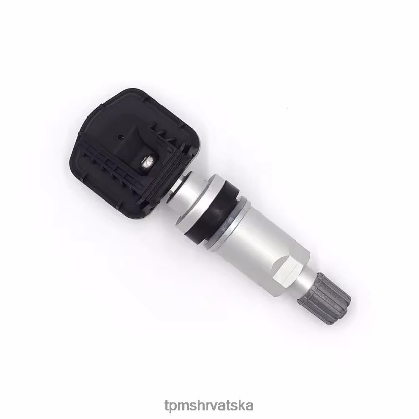 TPMS Ventili Cijena | 2LD6241256 tpms rongwei senzor tlaka u gumama 10290600